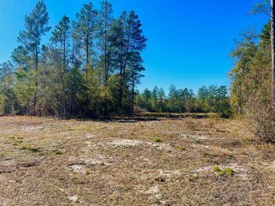 5.02 Acres Beauitful Lot In Rurual North Central Florida - image 2