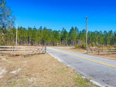 5.02 Acres Beauitful Lot In Rurual North Central Florida - image 4