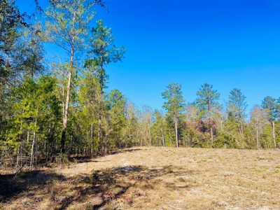 5.02 Acres Beauitful Lot In Rurual North Central Florida - image 1
