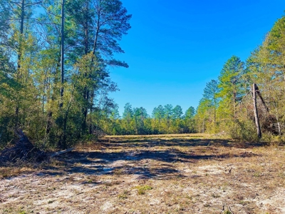 5.02 Acres Beauitful Lot In Rurual North Central Florida - image 3