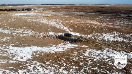 Pratt County. Kansas Pasture Land & Mineral Rights For Sale - image 9