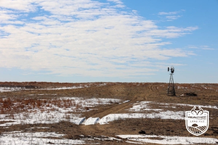 Pratt County. Kansas Pasture Land & Mineral Rights For Sale - image 10