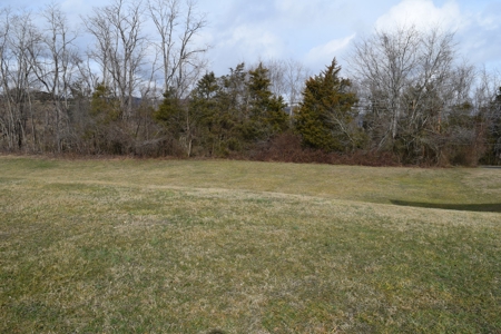 East Tennessee Dream: Cherokee Lake View Rogersville TN - image 4