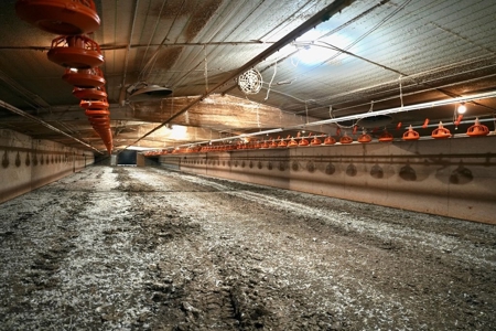 4 House Poultry Broiler Farm Mize MS w/ Residence - image 14