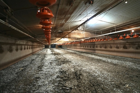 4 House Poultry Broiler Farm Mize MS w/ Residence - image 15