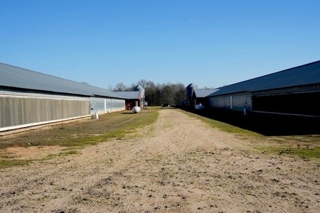 4 House Poultry Broiler Farm Mize MS w/ Residence - image 26