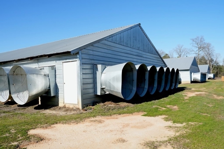 4 House Poultry Broiler Farm Mize MS w/ Residence - image 24