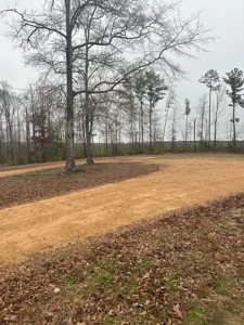 County Home on 11 Acres Franklin County Smithdale MS - image 20