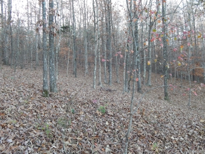 1995 Clayton Mobile Home on 1 Acre in Waynesboro, Tn. - image 30