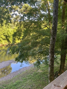 Cabin In Tennessee On Shoal Creek Possible Airbnb - image 17