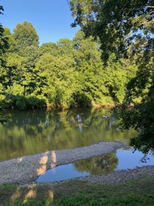 Cabin In Tennessee On Shoal Creek Possible Airbnb - image 16