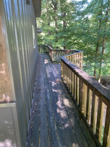 Cabin In Tennessee On Shoal Creek Possible Airbnb - image 19