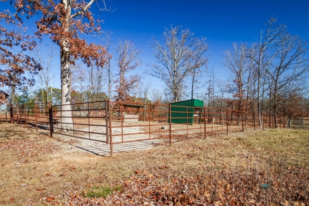 Exquisite Equine Property with Cedar Log Home, Mountain View - image 40