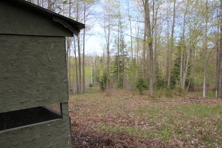 Prime 250 Acres of Hunting Land for Sale in Atlanta, MI - image 22