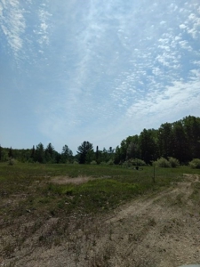 Prime 250 Acres of Hunting Land for Sale in Atlanta, MI - image 49