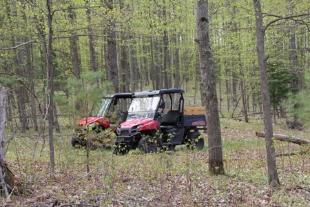 Prime 250 Acres of Hunting Land for Sale in Atlanta, MI - image 7