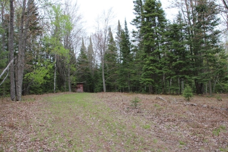 Prime 250 Acres of Hunting Land for Sale in Atlanta, MI - image 34