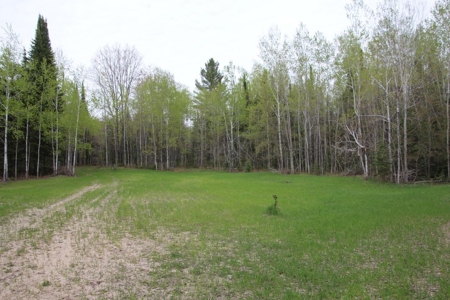 Prime 250 Acres of Hunting Land for Sale in Atlanta, MI - image 33