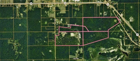 Prime 250 Acres of Hunting Land for Sale in Atlanta, MI - image 8