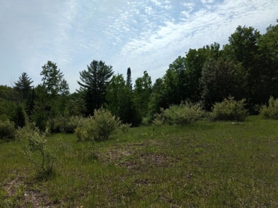 Prime 250 Acres of Hunting Land for Sale in Atlanta, MI - image 42