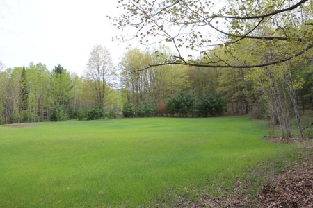 Prime 250 Acres of Hunting Land for Sale in Atlanta, MI - image 6