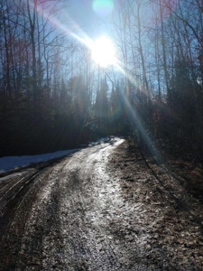 Prime 250 Acres of Hunting Land for Sale in Atlanta, MI - image 20