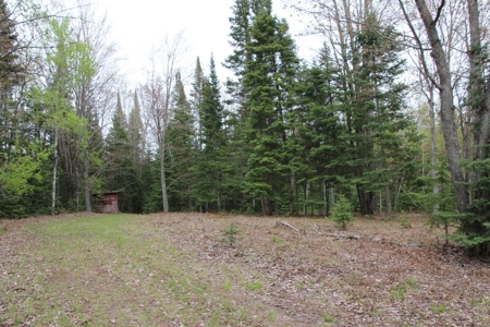 Prime 250 Acres of Hunting Land for Sale in Atlanta, MI - image 35