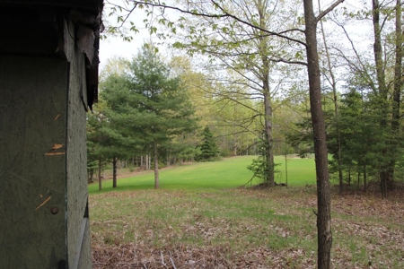 Prime 250 Acres of Hunting Land for Sale in Atlanta, MI - image 24