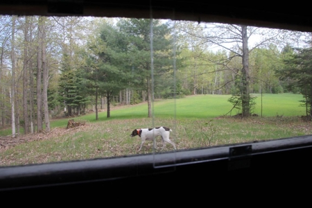 Prime 250 Acres of Hunting Land for Sale in Atlanta, MI - image 1