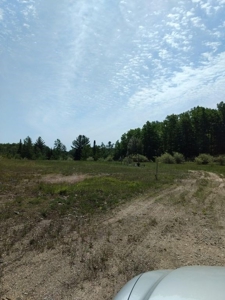 Prime 250 Acres of Hunting Land for Sale in Atlanta, MI - image 47