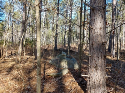 Prime 250 Acres of Hunting Land for Sale in Atlanta, MI - image 14