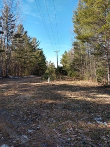 Prime 250 Acres of Hunting Land for Sale in Atlanta, MI - image 11
