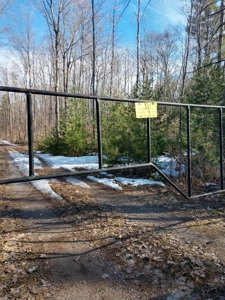 Prime 250 Acres of Hunting Land for Sale in Atlanta, MI - image 10