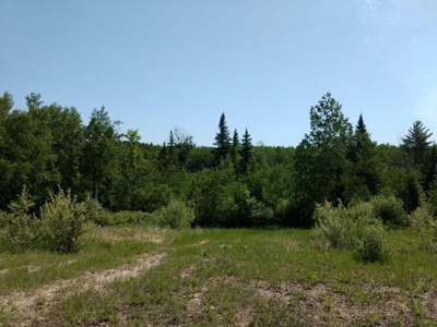 Prime 250 Acres of Hunting Land for Sale in Atlanta, MI - image 41