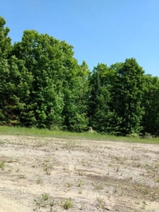 Prime 250 Acres of Hunting Land for Sale in Atlanta, MI - image 44
