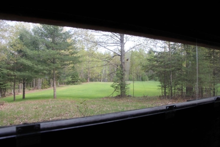 Prime 250 Acres of Hunting Land for Sale in Atlanta, MI - image 2