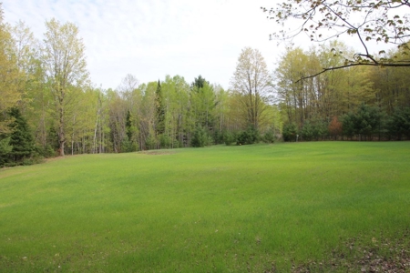Prime 250 Acres of Hunting Land for Sale in Atlanta, MI - image 5