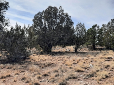 Nice Northern AZ off grid property - image 14