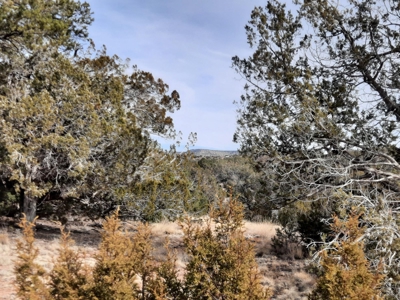Nice Northern AZ off grid property - image 1