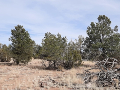 Nice Northern AZ off grid property - image 15