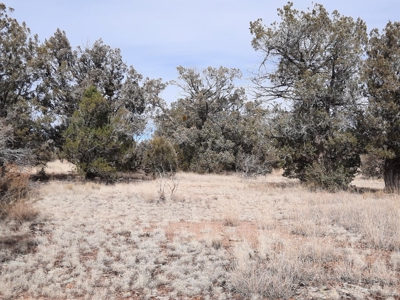Nice Northern AZ off grid property - image 8