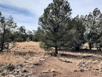 Nice Northern AZ off grid property - image 4
