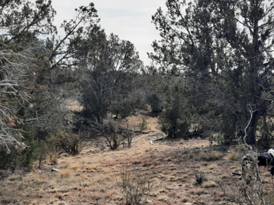 Nice Northern AZ off grid property - image 13