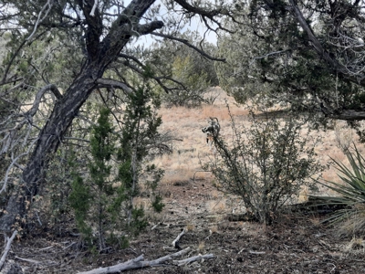 Nice Northern AZ off grid property - image 12