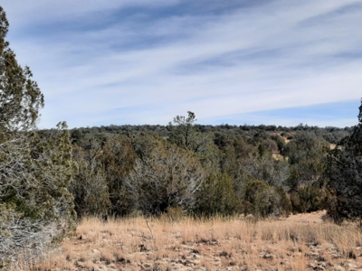 Nice Northern AZ off grid property - image 5
