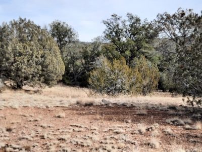 Nice Northern AZ off grid property - image 10