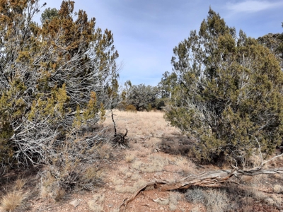 Nice Northern AZ off grid property - image 2
