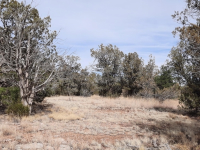 Nice Northern AZ off grid property - image 6