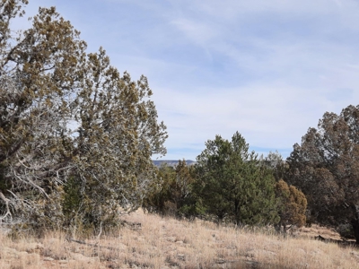 Nice Northern AZ off grid property - image 3