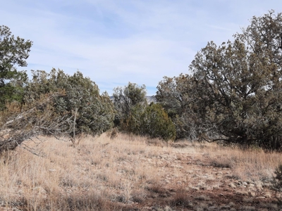 Nice Northern AZ off grid property - image 9